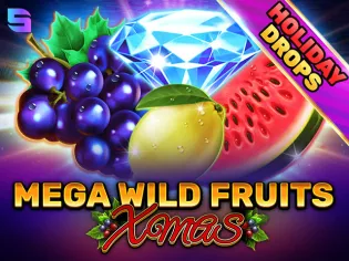 Mega Wild Fruits - Xmas screenshot